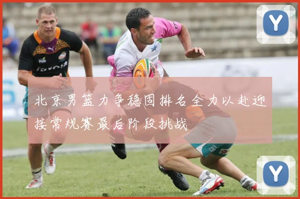 北京男篮力争稳固排名全力以赴迎接常规赛最后阶段挑战